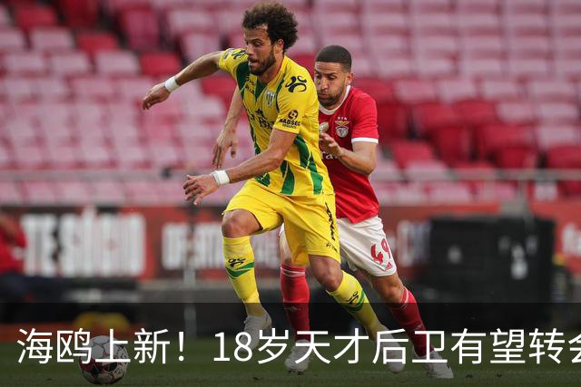 海鸥上新！18岁天才后卫有望转会英格兰，天赋顶级布莱顿要买
