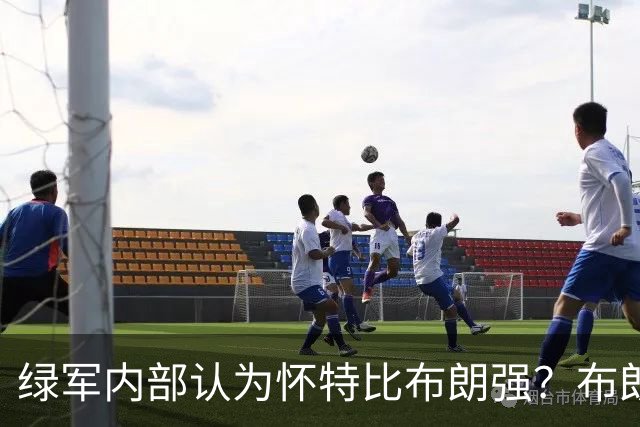 绿军内部认为怀特比布朗强？布朗上赛季场均正负值-6.2 怀特+6.8